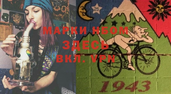 шишки Бронницы