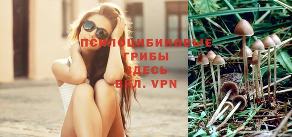 ешки Богородицк