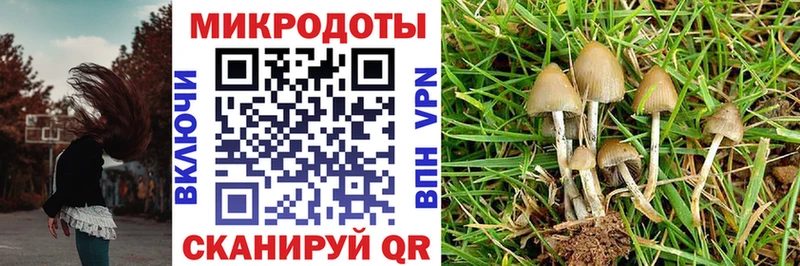 хочу Камызяк Галлюциногенные грибы ЛСД